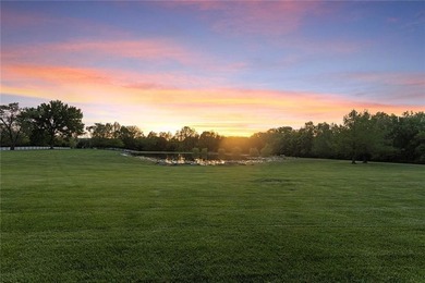 No filters. No AI tricks. The sunset views are real-and they can - photo 31