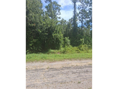 Lehigh Acres Area Lot For Sale in Lehigh Acres Florida