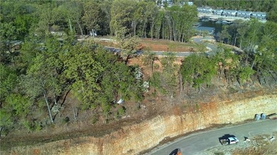 The Waters is the only new premier lake development on Horseshoe - photo 11