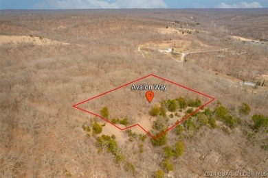 Lake Acreage For Sale in Gravois Mills, Missouri