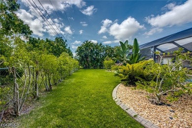 Welcome to your private oasis in SW Cape Coral! This beautifully - photo 45
