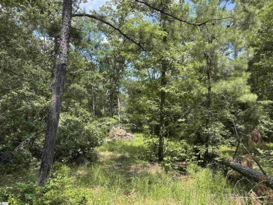 Lake Greenwood Lot For Sale in Ninety Six South Carolina