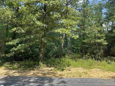 Build your dream home near Lake Greenwood! Welcome to 107 Armory - photo 3