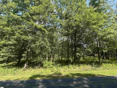 Build your dream home near Lake Greenwood! Welcome to 107 Armory - photo 4