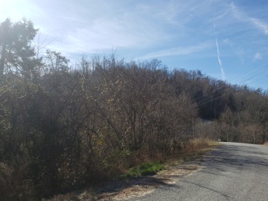Norris Lake Lot SOLD! in New Tazewell Tennessee