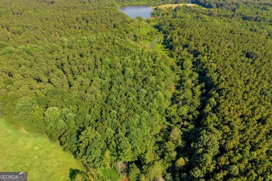 125.63 Acres | Franklin County, GA | Outdoorsman's Paradise Near - photo 3
