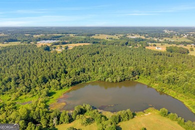 125.63 Acres | Franklin County, GA | Outdoorsman's Paradise Near - photo 5