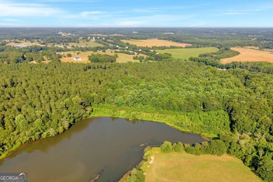 125.63 Acres | Franklin County, GA | Outdoorsman's Paradise Near - photo 6