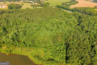 125.63 Acres | Franklin County, GA | Outdoorsman's Paradise Near - photo 8