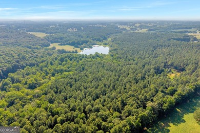 125.63 Acres | Franklin County, GA | Outdoorsman's Paradise Near - photo 9