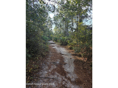 Discover a rare 52.39+/- acre development opportunity with a - photo 5