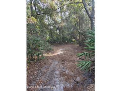 Discover a rare 52.39+/- acre development opportunity with a - photo 6