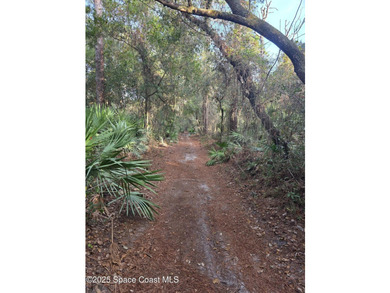 Discover a rare 52.39+/- acre development opportunity with a - photo 7