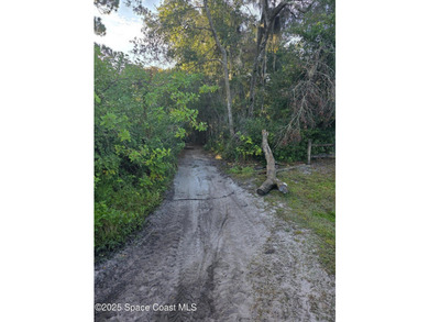 Discover a rare 52.39+/- acre development opportunity with a - photo 10