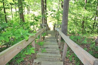 LAKE FRONT POINT LOT=LAKE ON 3 SIDES & OPEN TO MAIN CHANNEL TO - photo 5