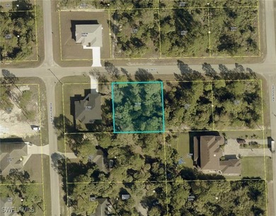 Lehigh Acres Area Lot For Sale in Lehigh Acres Florida