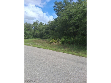 Lehigh Acres Area Lot For Sale in Lehigh Acres Florida