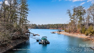 5029 Winfield Drive | Southpointe at Lake James - A Rare - photo 5
