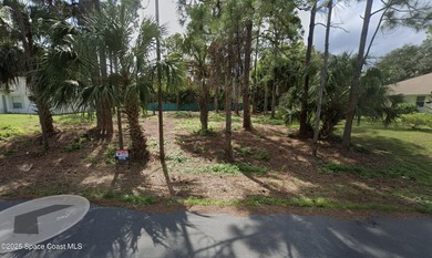 Lot is ready to build been - photo 1