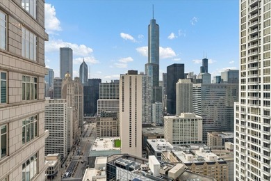 Set within the prestigious Ritz-Carlton Residences Chicago along - photo 34
