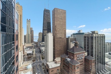 Set within the prestigious Ritz-Carlton Residences Chicago along - photo 37