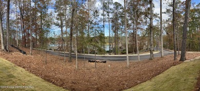Stunning New Construction in the Prestigious Willow Glynn - photo 40
