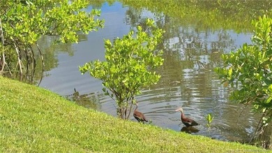 Welcome to this charming waterfront residence in Village Oaks - photo 14