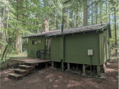 Built in 1930 and tucked among towering firs in the Mt. Hood - photo 30