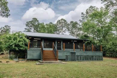 Lake Home For Sale in Donalsonville, Georgia