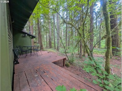 Built in 1930 and tucked among towering firs in the Mt. Hood - photo 31
