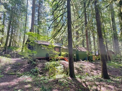Built in 1930 and tucked among towering firs in the Mt. Hood - photo 32