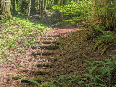 Built in 1930 and tucked among towering firs in the Mt. Hood - photo 33