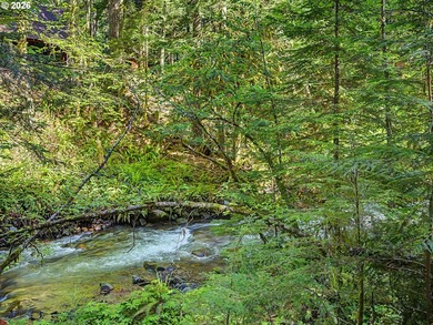 Built in 1930 and tucked among towering firs in the Mt. Hood - photo 36