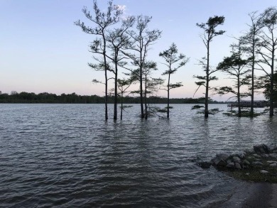 Lake Lot For Sale in Dundee, Mississippi