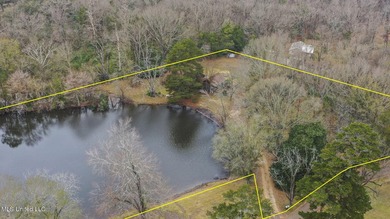 Tucked away on 3.6 acres this rustic charmer offers the perfect - photo 24