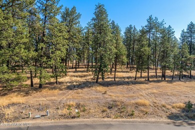 Lot 203 is located in the popular Homestead area at Gozzer Ranch - photo 6