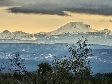 BRAND NEW HVAC INSTALLED!!! MT LASSEN VIEWS! Well-maintained - photo 3