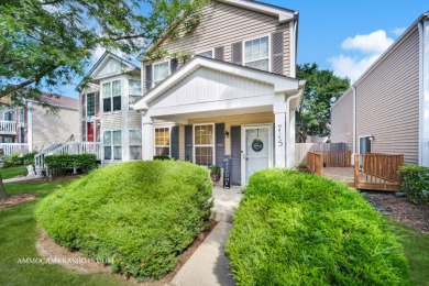 Lake Home Sale Pending in Aurora, Illinois