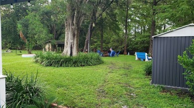 We named it *THE CABIN* the backyard is like being in heaven! - photo 35