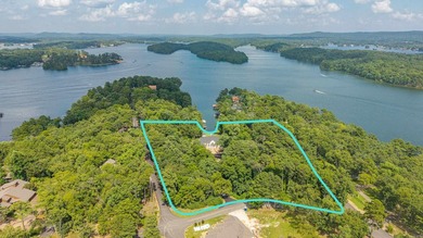 Lake Hamilton Estate - 6 1/2 Acres & 250' Frontage. This luxury - photo 50