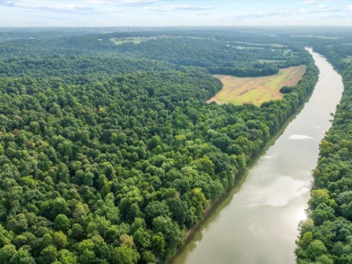 Lake Home For Sale in Calhoun, Kentucky