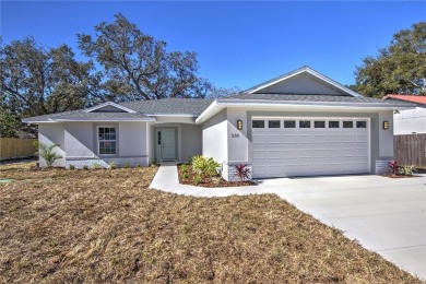 Lake Home For Sale in Mount Dora, Florida