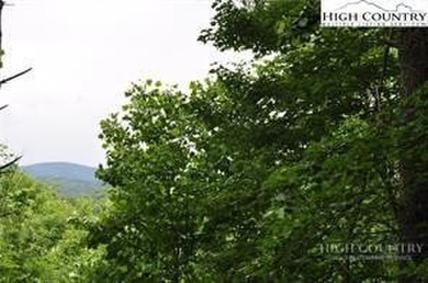 Amazing views and privacy in this wonderful log cabin community - photo 4