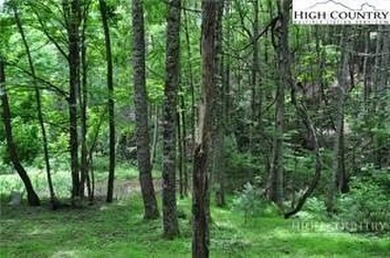 Amazing views and privacy in this wonderful log cabin community - photo 8