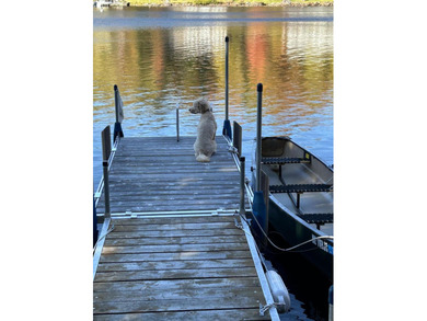 BEAVER MOUNTAIN LAKE - ONE OF THE BEST BUYS IN THE RANGELEY - photo 7
