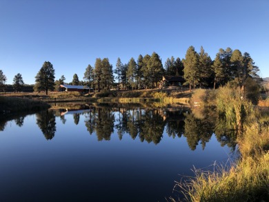 (private lake, pond, creek) Home For Sale in Bayfield Colorado