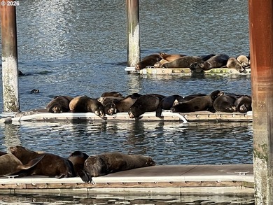 Wake Up to Sunrises, Wildlife, and Coastal Living! Lovely - photo 47