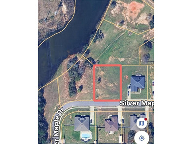 West Mobile lot in Headwaters Subdivision including street - photo 3