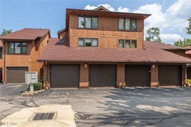 Lake Condo For Sale in Olmsted Falls, Ohio