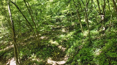 949 Lansing Harpers Road, Harpers Ferry, IA 52146 is a fantastic - photo 4